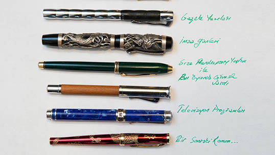 A selection from Mario Levi's pen collection